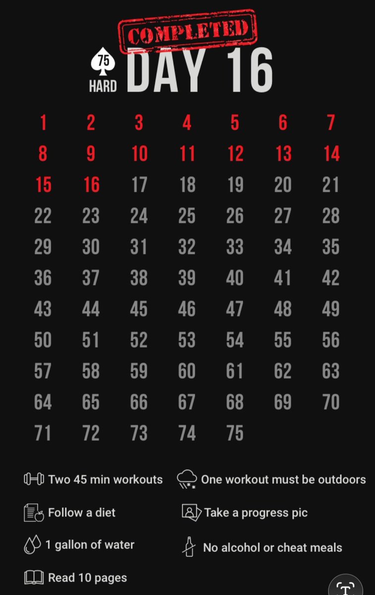 Sheshn ▪︎ Men's Confidence Mentor tweet media