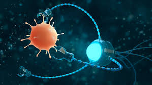 TendenciaCRnews's tweet image. Investigadores del Instituto #Karolinska en #Suecia desarrollaron #nanorobots que pueden matar células cancerosas en ratones.

#TendenciaCR