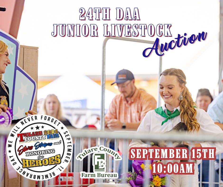 🐷🐑 Rise and shine for the 24th DAA Junior Livestock Auction at the Tulare County Fair! 🎉

📅 Sunday, September 15th

🕗 8:00 am: Buyer Registration Opens
🍳 Enjoy a delicious Sheriff's Posse Exhibitor &amp; Buyers Breakfast at the Main Stage
🕙 10:00 am: Let the bidding begin! ...