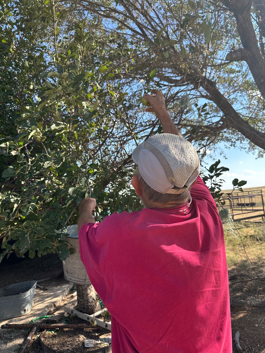 amber🌾 tweet media