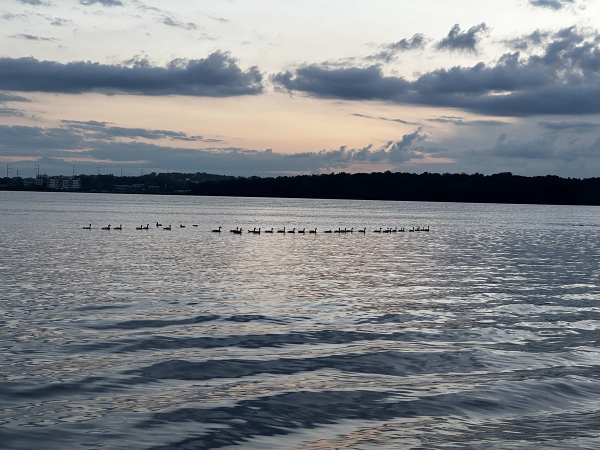 Breathe in breathe out! Mid week take some time and reflect. Go on a walk and have a good talk. One step at a time. One note to the next. Sometimes being simple can be complex. A.T #wellnesswednesday