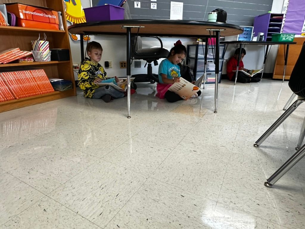 WidenElementary's tweet image. Ms. Damore's class is building their reading stamina and fully engaged in independent reading today! 📚✨ Watching these young readers dive into their books is truly inspiring. Keep it up, Wildcats!  #WidenWildcats #IndependentReading #BuildingStamina