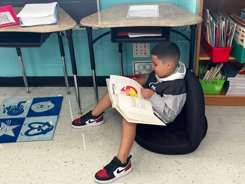 WidenElementary's tweet image. Ms. Damore's class is building their reading stamina and fully engaged in independent reading today! 📚✨ Watching these young readers dive into their books is truly inspiring. Keep it up, Wildcats!  #WidenWildcats #IndependentReading #BuildingStamina
