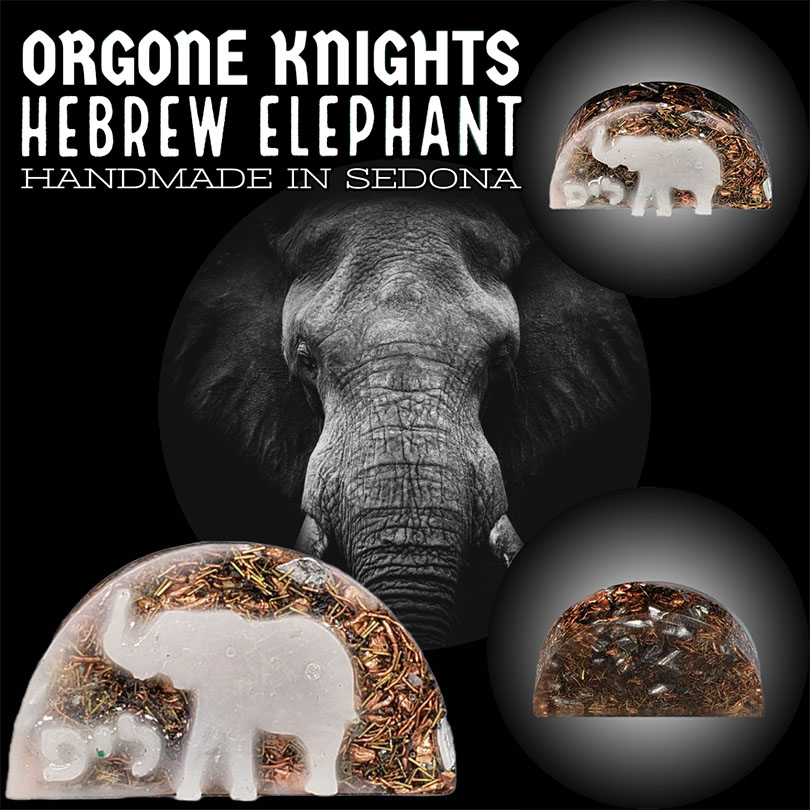 5Gcrusader's tweet photo. The #Hebrew #Elephant stand is designed to be carried as a convenient travel option.
https://t.co/aW0NoBQ3gH
#Stop5G #5G #5Grisks #5gDangers #5GRisks #Skynet #StoptheBias #emfprotection #emfsensitivity #Orgone #orgonite #EMF #protection #WiFirisks #SmartMeter #SmartMeters https://t.co/5iXID62Vdv