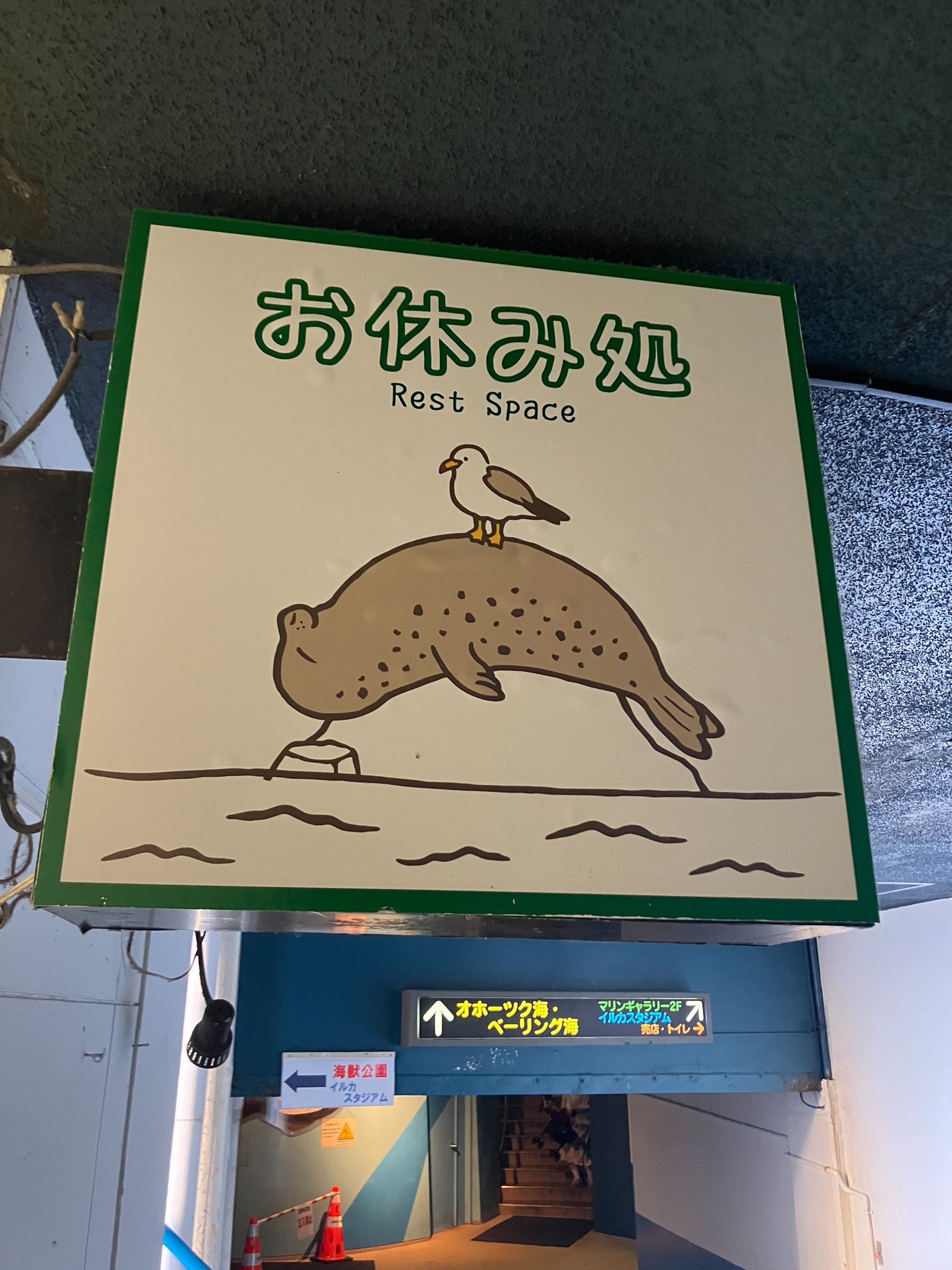 AOAO SAPPORO（アオアオ サッポロ） on X: 