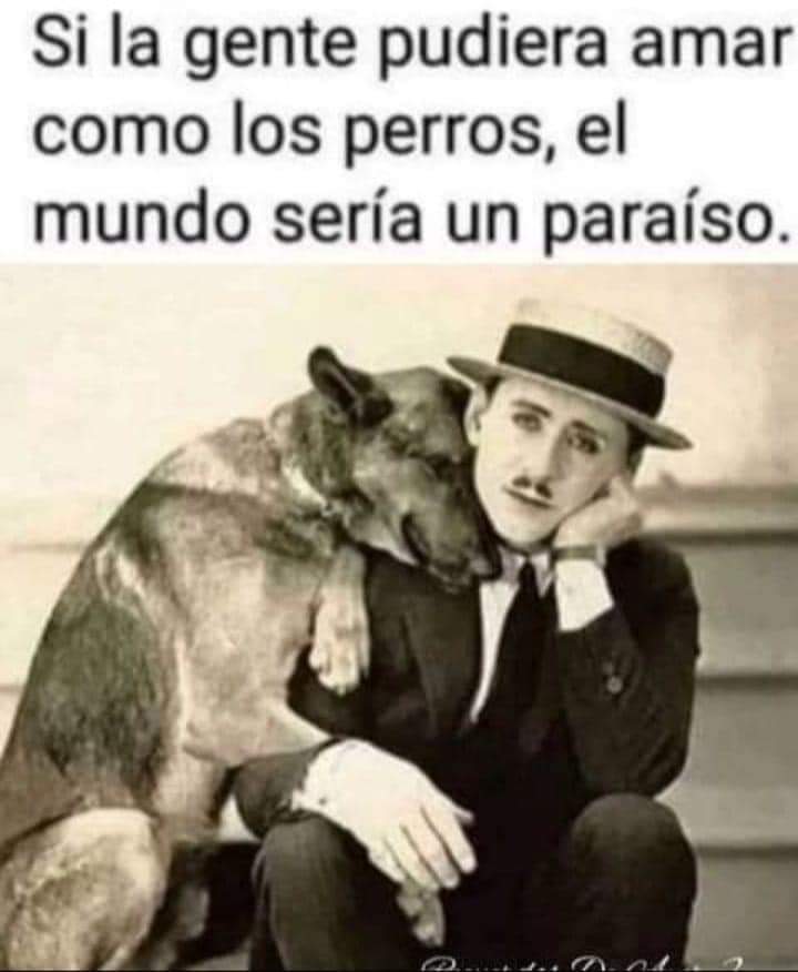 Guadalupe Ramirez tweet media