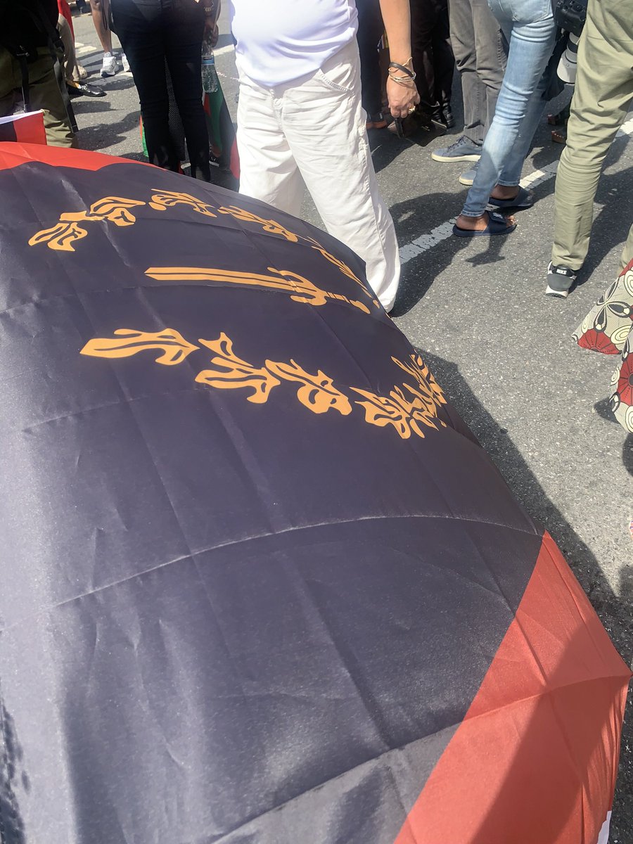 As a Black American 🇺🇸❤️, I can’t stand to see Caribbeans and African flags at a Juneteenth event or the so called (African-American) Harlem parade. It’s not about y’all either