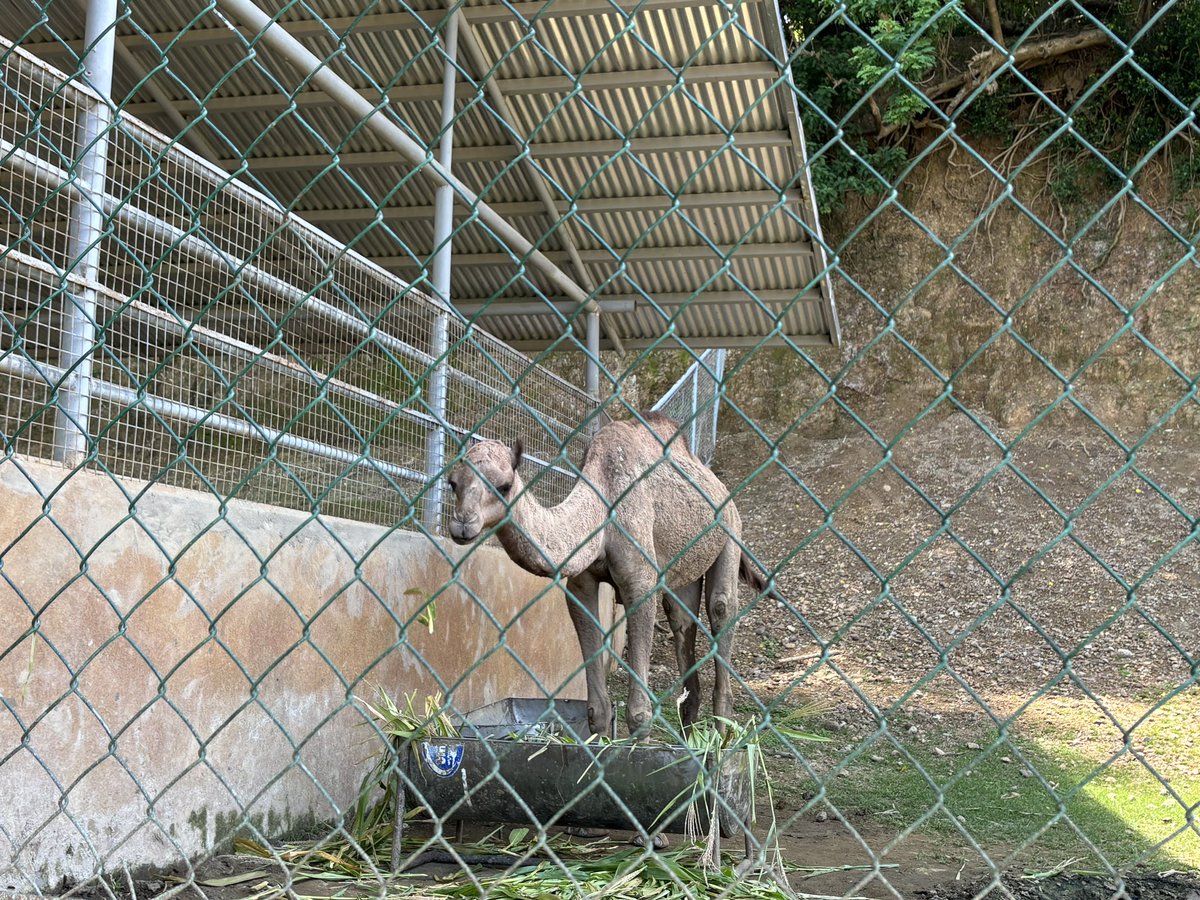 watchAmak0lme's tweet photo. #Baluarte
Yung travel n from ilocos Sur to Ilocos Norte #kabog kapagod man pero worth it⦠:) https://t.co/GOqeDC6mXm