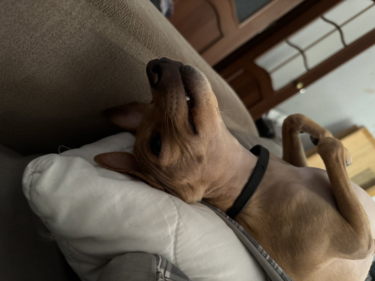 Хуельский tweet media