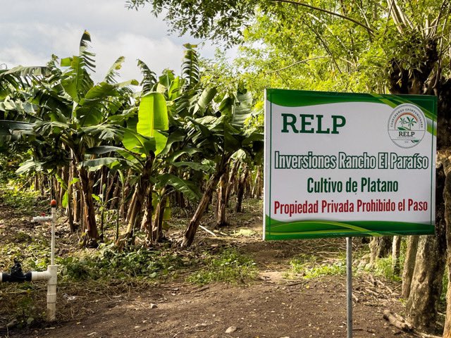 CamiIsaR's tweet photo. Con mucha felicidad les presentamos Inversiones Rancho El Paraíso. Proyecto de desarrollo de agricultura regenerativa en el Corredor Agrícola. 

Creemos en Honduras y creemos en apoyar a dinamizar la economía del Valle de Agalta. https://t.co/F9NTyo7Hb6