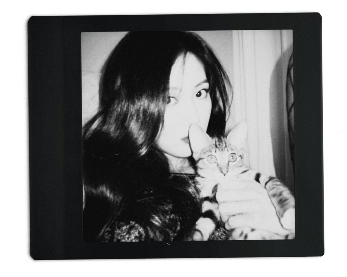 eunbeankwonn's tweet photo. ⠀⠀⠀ 
       Sometimes, all you need is a furry friend to remind you of the simple joys in life
                                     ⠀⠀   ⠀⠀ https://t.co/zmunAgIoGo