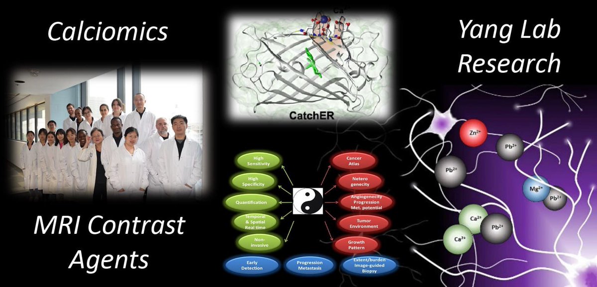 JYang Lab tweet media