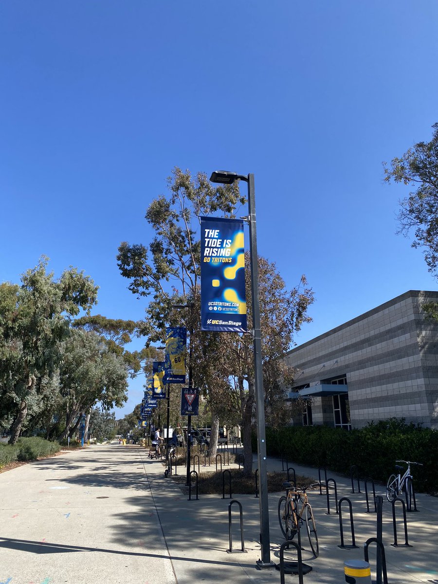ToddGreenbaum11's tweet photo. New pole banners up on campus! So excited to see our refreshed brand coming to life. Stop by UC San Diego and see if you can find your favorite sport (all 23 of ours are represented)! π±
#GoTritons #CatchTheCurrent https://t.co/9FEYKPBtG8