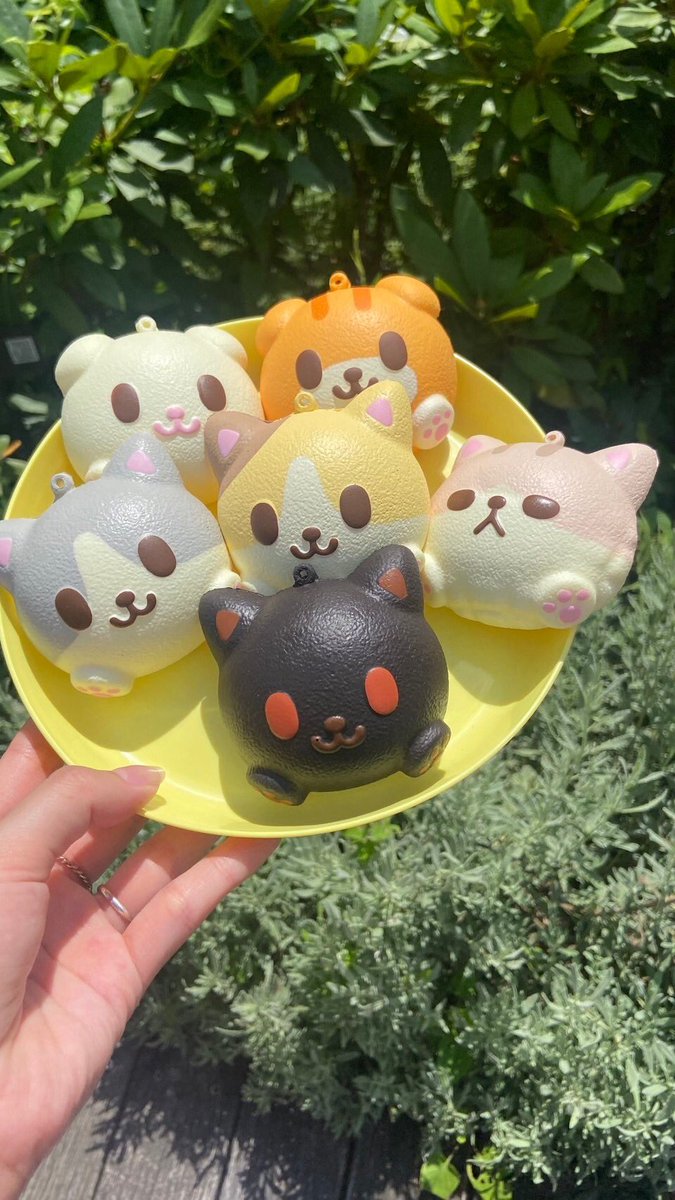 ライブコマースで登場した ミケパンフレンズたち！ スーパー