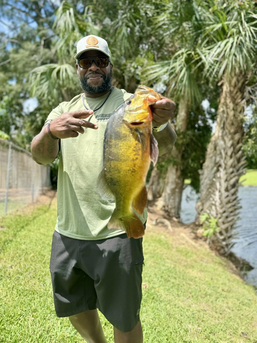 JB Bassmaster tweet media