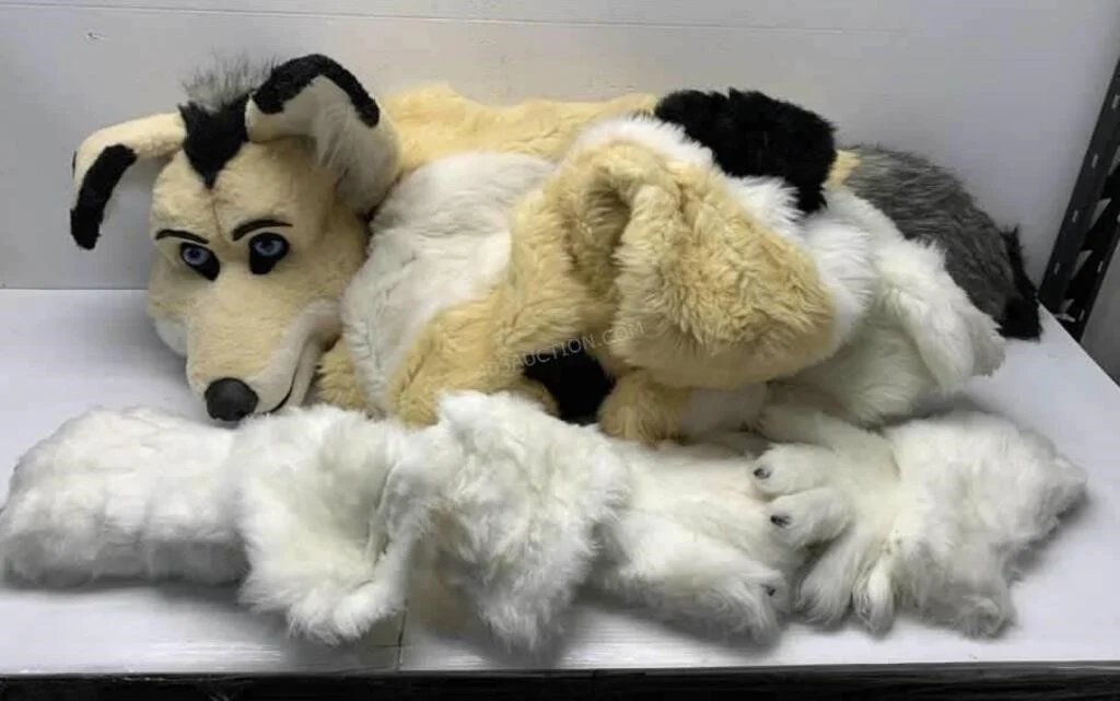 -ˋˏ Stingray Suits ˎˊ- (@stingraysuits) on Twitter photo Help me find this fursuits owner!!! Retweet to help!❤️
My friend found this fursuit for sale on a freight auction site and has secured it! It was likely lost in shipping on its way to the last <a href="/FurnalEquinox/">Furnal Equinox</a> (2024) Help me find this fursuits owner!!! Retweet to help!❤️
My friend found this fursuit for sale on a freight auction site and has secured it! It was likely lost in shipping on its way to the last <a href="/FurnalEquinox/">Furnal Equinox</a> (2024)