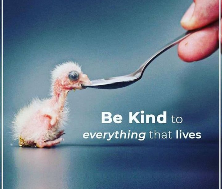 Owop_foundation's tweet photo. 🫂🫂🫂🙏🙏 https://t.co/0EsUTyXayd