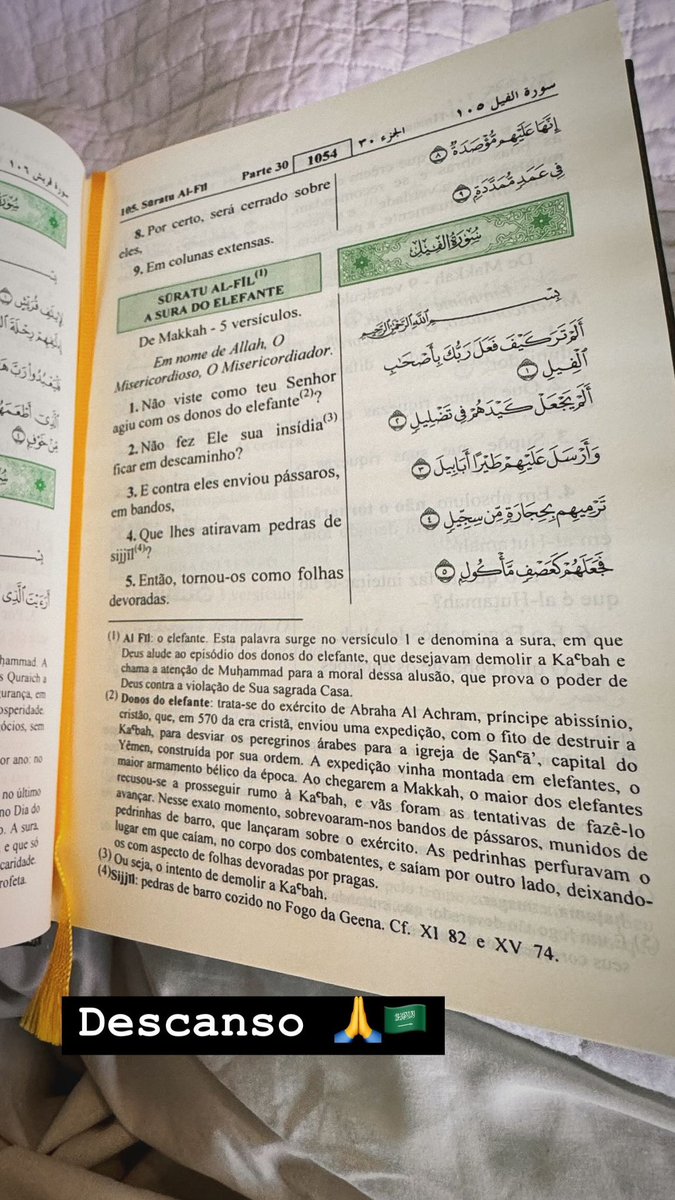 🇸🇦Elton Arabia🇧🇷 إلتون خوسيه 🇸🇦 (@eltonarabia77) on Twitter photo 
