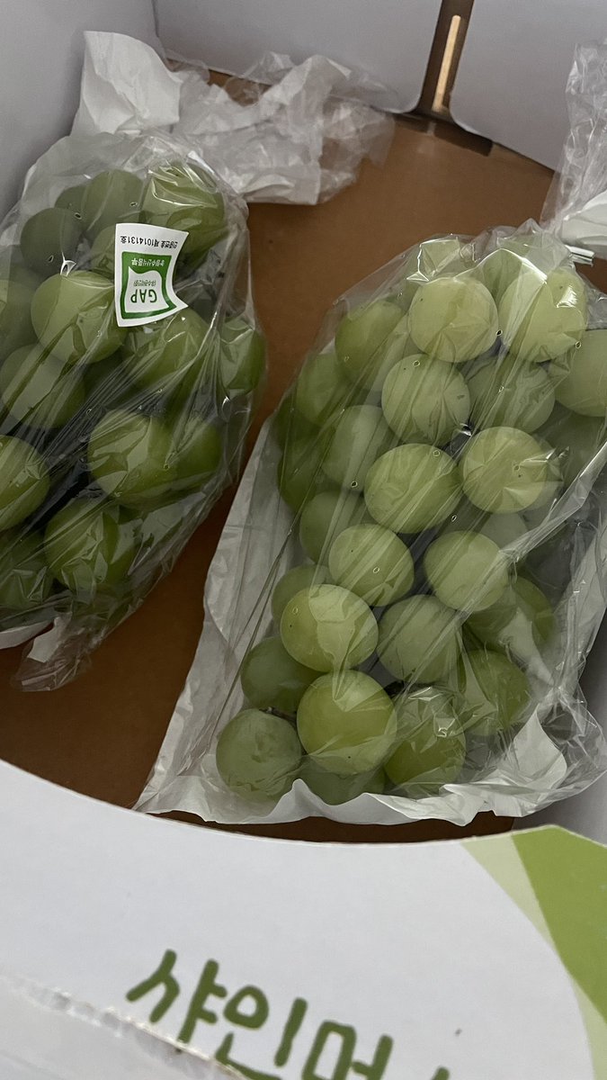 sheoshoe tweet media