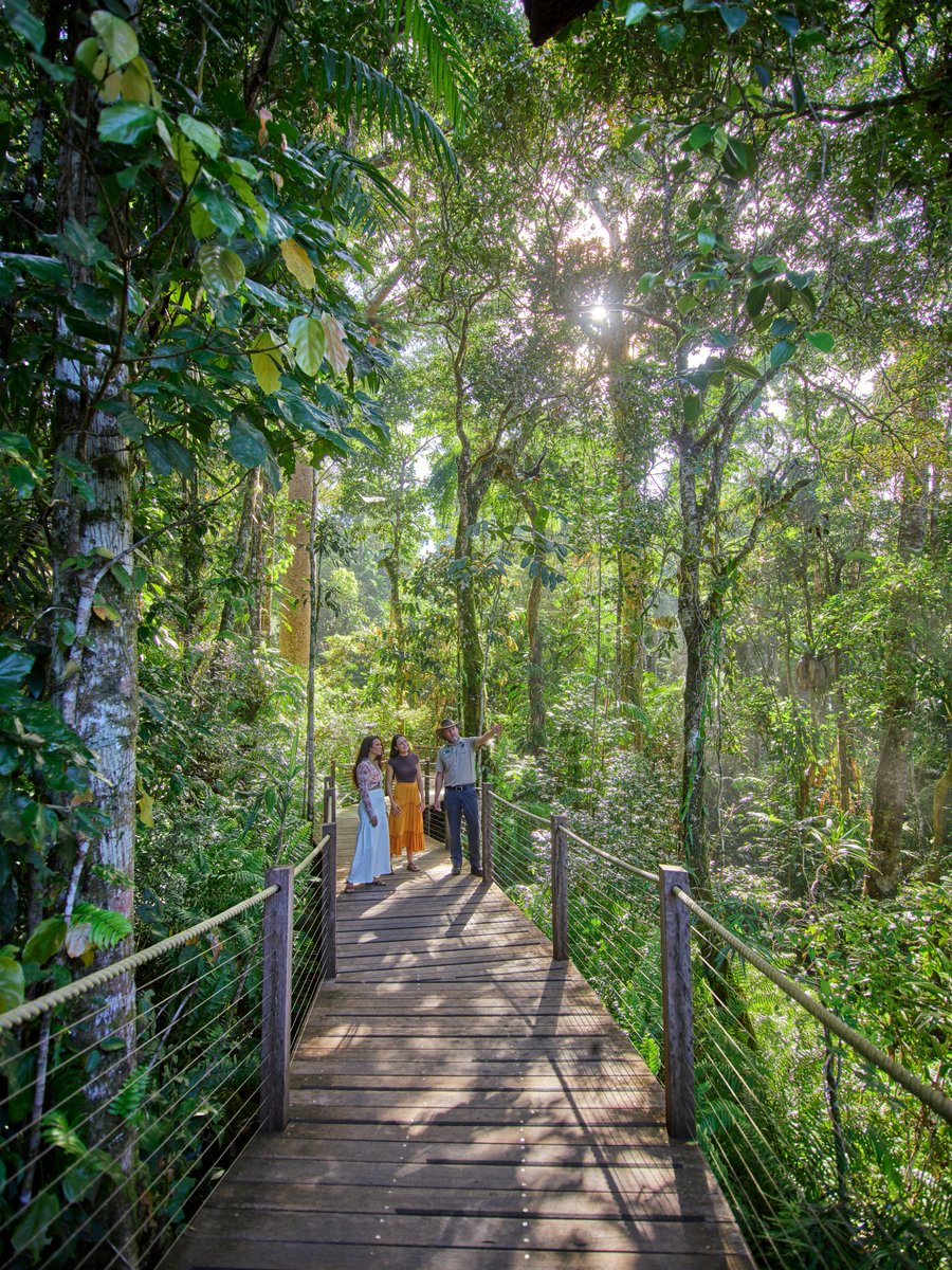 We are committed to making a difference in rainforest conservation! We fund and support various projects and research initiatives that focus on understanding the intricate ecosystems and unique flora &amp; fauna of tropical rainforests through research, education, community projects.