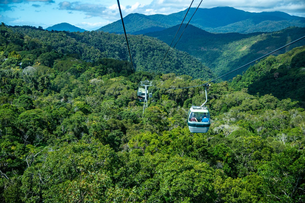 Join the Skyrail Rainforest Foundation today for just $30 per year and enjoy unlimited membership benefits! 🌿✨
From the rainforest to the reef, members can explore, and save, with our member benefit partners.👏🌿😁