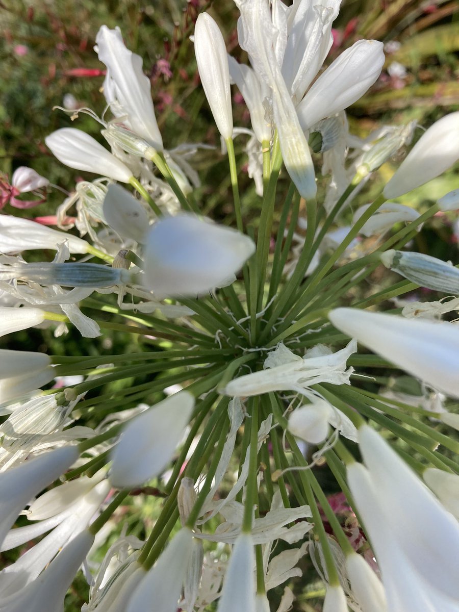 MimiMichelle9's tweet image. #Marc #Inconsolable 💔🙏💔🙏💔🙏💔🙏💔🙏💔🙏💔🙏💔🙏💔🙏💔🙏💔💔💔💔💔💔💔💔💔💔💔💔💔💔💔💔💔💔💔💔💔💔💔💔 💔💔💔💔💔