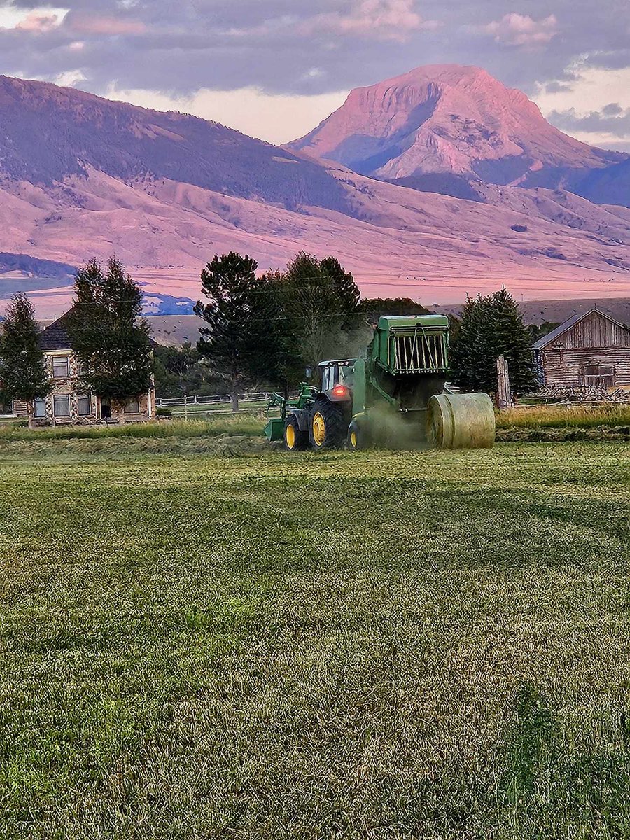 Jeremy_Rich12's tweet image. John Deere green, had a perfect evening the other day to rake and bale our first field for second cutting! 🏔️🙌🏻

#johndeere #haying #farming #ranching #montana