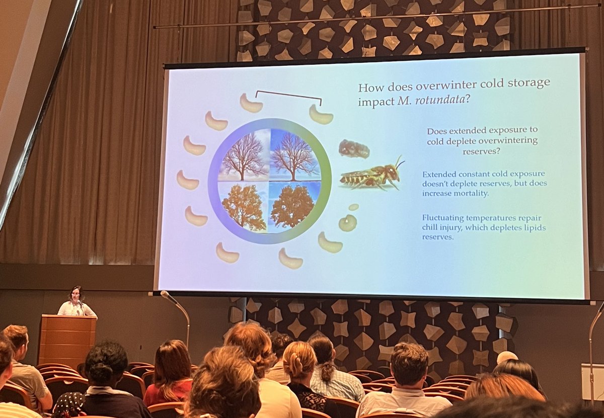 Gr8 talk from <a href="/NDBiolog/">NDSU Biology</a>’s #JuliaBowsher <a href="/ice2024kyoto_jp/">International Congress of Entomology 2024 Kyoto JP</a> - extended exposure to cold doesn’t deplete overwinter reserves but increases mortality.
Variable temp requires chill injury repair which depletes lipids. My Q - Is variation in pollen lipids across species/ season impt?