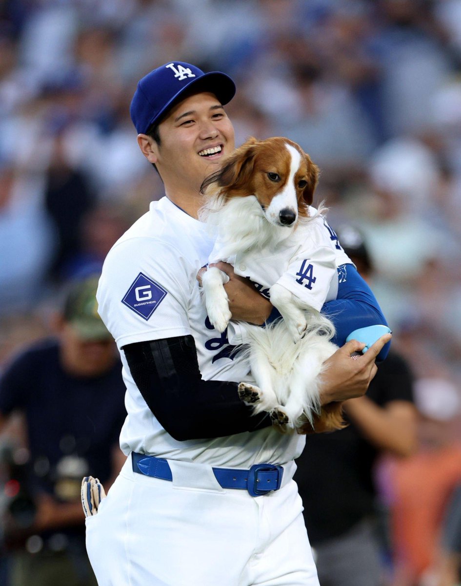 shoheisaveus's tweet image. Shohei x Decoy