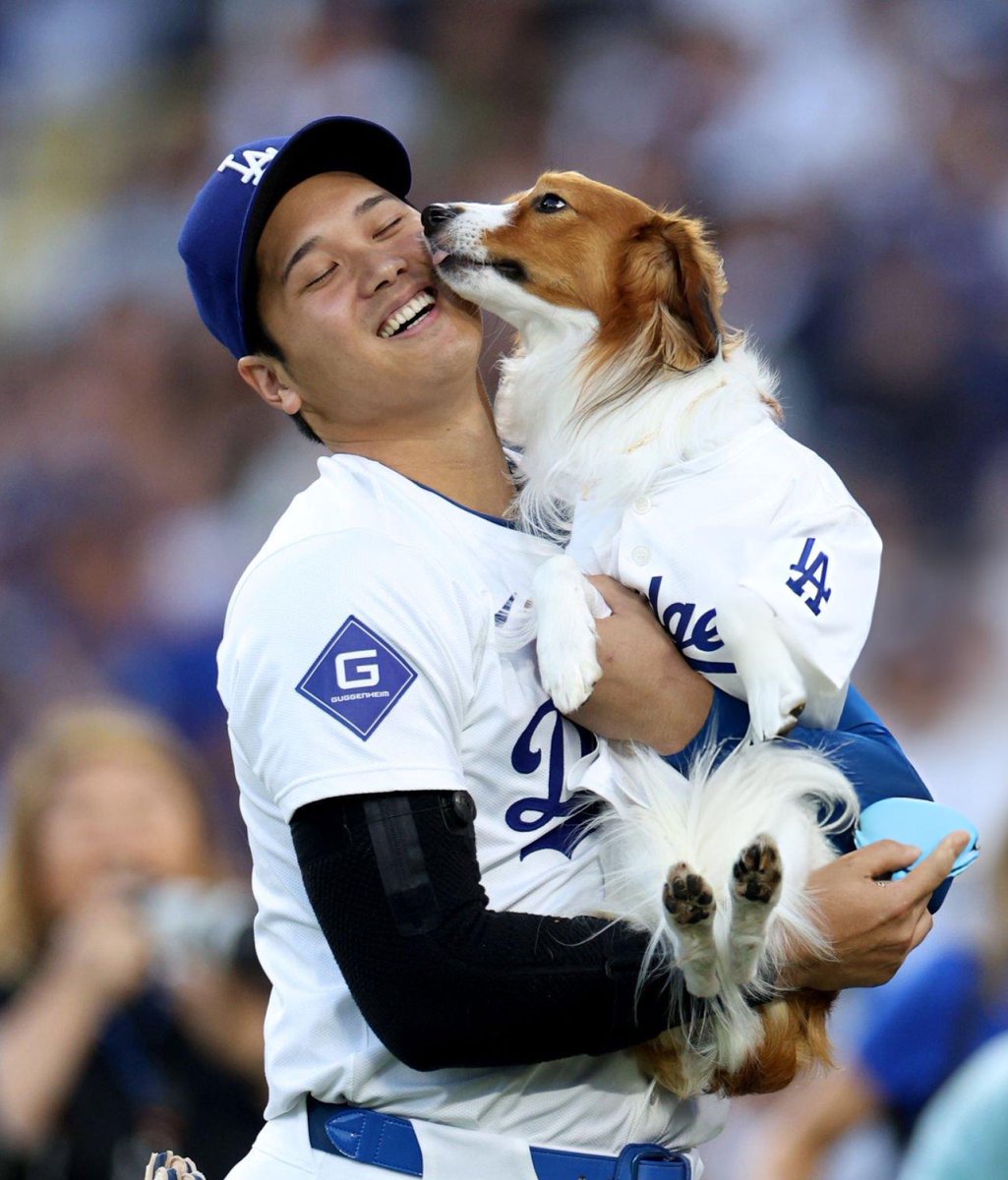 shoheisaveus's tweet image. Shohei x Decoy