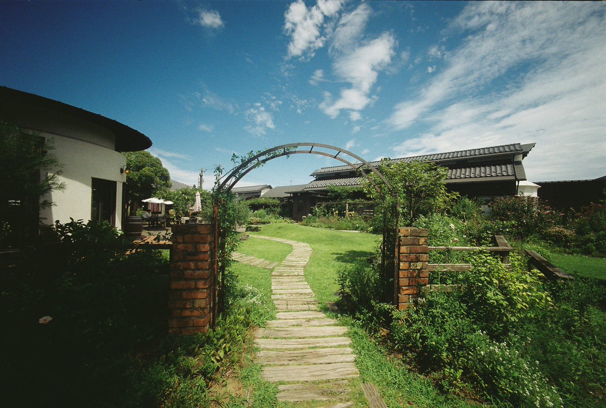 hiiragisanaka's tweet photo. カーブドッチ
良いところでした。
#bessaL #ultrawideheriar12mm #kodakgold200 https://t.co/BK0HGkMWLP