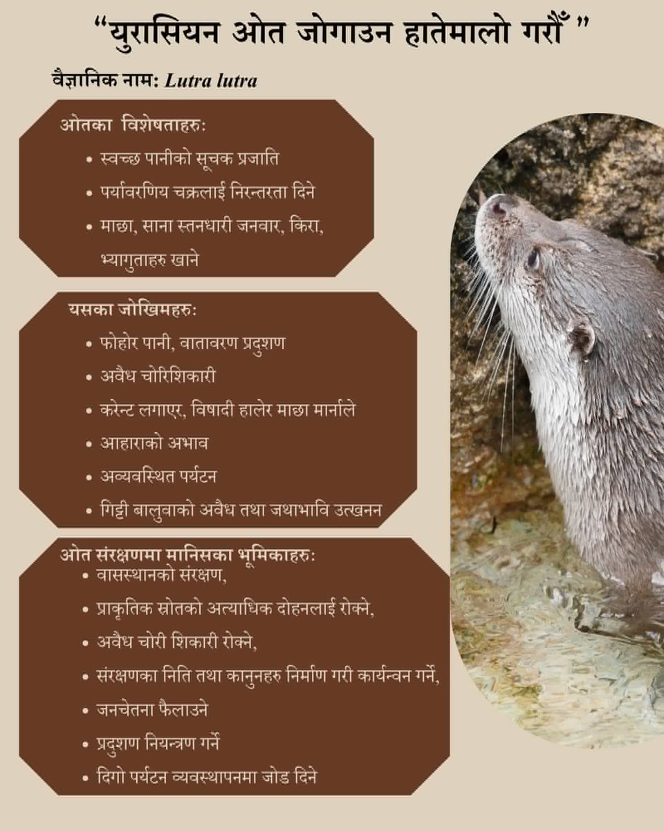 A digital 'conservation poster' designed by a trainee ( Sandesh Neupane) of the Wildlife Research Techniques Training as part of their online internship ! #WildlifeReseachTechniquesTraining2023 #Online #Internship #FONNepal