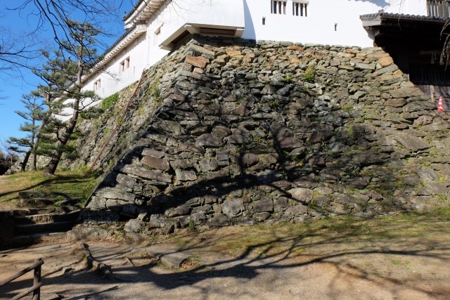 digitaljokers's tweet photo. ＼デジタル城下町民証を発行中✨／
『和歌山城ってどんなお城？』🏯
見どころや歴史をご紹介します！
＝＝＝＝＝＝＝
1、見どころ
①天守
姫路城、松山城と並ぶ日本三大連立式天守のひとつで、大天守と小天守、2つの櫓を多聞櫓でつなげた見事な天守です。

三層の屋根には、唐破風や千鳥破風の装飾などが美しく堂々とした姿が印象的✨

最上階からは、紀ノ川河口そして紀淡海峡。天気がよければ淡路島と四国が見えるのだとか！👀🌊

＝＝＝
②石垣
和歌山城では豊臣期・浅野期・徳川期のさまざまな石垣が✨

二の丸庭園前には創建期の野面積み。大手門をくぐって城内に入ったところは打ち込み接ぎ、さらに歩くと切り込み接ぎ…というように石垣の変遷が楽しめます🏯
なかでも天守台の結晶片岩による野面積みが最も古いものと考えられていますよ。

また、石垣には約170種類2100個以上もの刻印が確認されており、転用石もありますので探してみてください🐺

＝＝＝
③名勝 西之丸庭園
紅葉が見事なため「紅葉溪庭園」と呼ばれるほどの大名庭園。
これからの季節もいいですね！
数寄屋造りの茶室「紅松庵」ではお抹茶とお菓子がいただけます🍵

＝＝＝
④渡ってみたい！「御橋廊下」
藩の政庁や藩主の生活の場である二の丸と庭園のある西の丸をつなぐ橋🌉
江戸時代には、藩主とお付きの者のみ渡ることが許され、屋根を設け外からは見えないつくりになっていました。

＝＝＝
⑤重要文化財「岡口門」
南東にある門、岡口門は、門の上に白壁の櫓をのせている江戸時代初期の門です。

＝＝＝＝＝＝＝
2、和歌山城の歴史
和歌山城は、天正13（1585）年、羽柴秀長（秀吉の弟）が築いたのがはじまりです。築城の名手・藤堂高虎が普請奉行を担当し、はじめて手がけた近世城郭ともいわれています👀

関ヶ原の戦い後、慶長5（1600）年には、浅野幸長（よしなが）が入城し、黒板張りの天守や屋敷を建てるなどの整備をしました🏯

そして、元和5（1619）年に徳川頼宣（家康の10男）が入城し、55万5千石の御三家のひとつ紀州徳川家が成立。この時に大拡張が行われ、ほぼ現在の姿となりました。

天守は寛政10年（1798）年に、白壁に一新したものの、のちに落雷で焼失し、さらに嘉永3（1850）年に再建されましたが、第二次世界大戦で焼失…⚡️
現在の天守は昭和33（1958）年に再建されたものです。

＝＝＝＝＝＝＝
3、その他
①わかやま歴史館
和歌山城の豊富な史料の展示やVRシアター、紀州徳川家伝来の金印、和歌山市の偉人などについて学べます！

②和歌山城公園動物園🦩
なんと！お城の中に動物園まであります！
大正時代に開園。合計47種の動物がおり、動物園長はツキノワグマだそうです🐻

③伏虎像🐯
和歌山城のある山は別名「虎伏山」。北東山麓には寝そべっている虎の像がありますよ🐅

＝＝＝＝＝＝＝
ここまで読んだあなたへ…
和歌山城のデジタル城下町民証は、アプリ内支援者フォーラムにて先行配布中です🏯
ぜひ、覗いてみてくださいね！

#デジタル城下町 #和歌山城