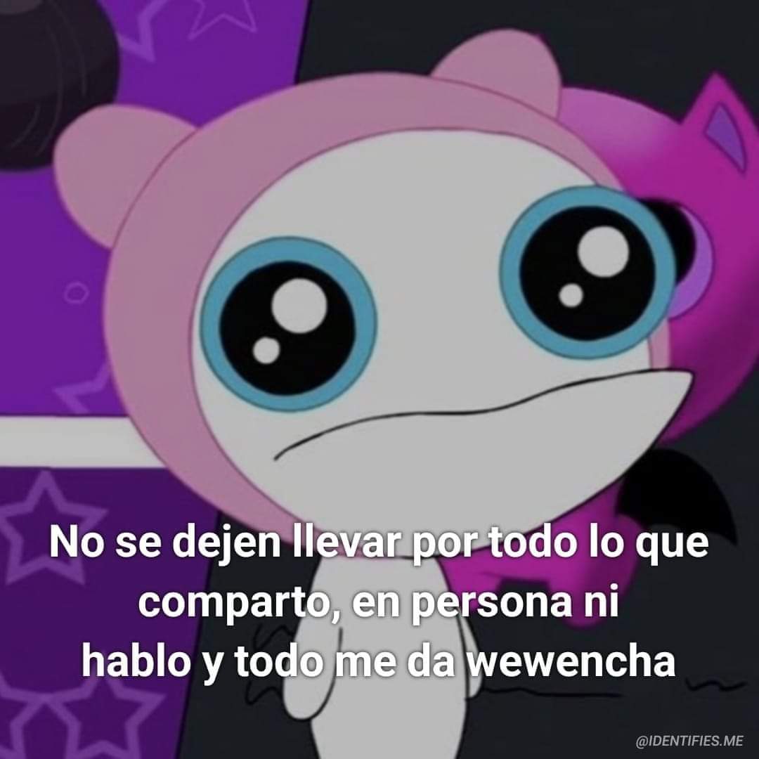KazuAly✨️ tweet media