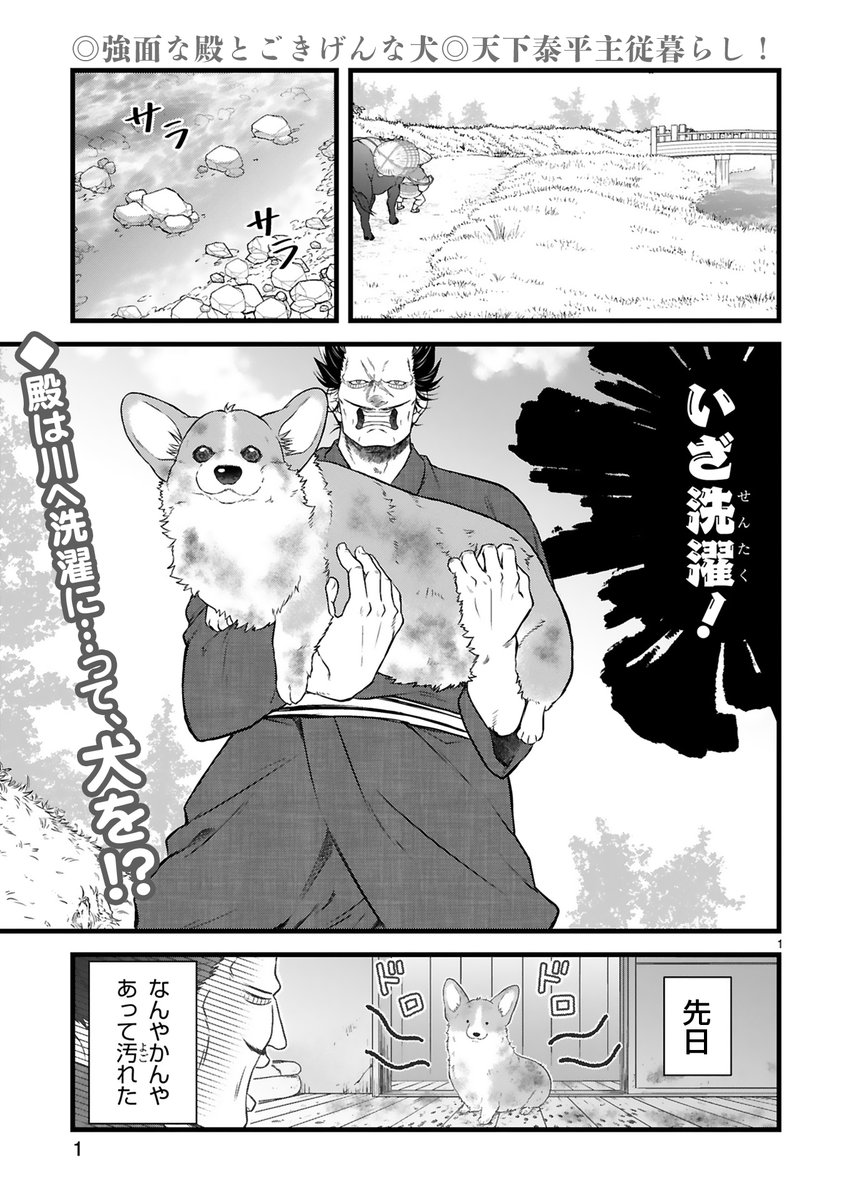 【8/29 更新】
✨アニメ化決定&コミックス第④巻 10/15発売!✨
『殿と犬』
特別再掲載★夏の陣
https://t.co/UOTdg6lvGW
殿は川へ犬をお洗濯に🎶🫧
でも水に入れようとすると犬がわたわた…
もしかして犬、水の中が苦手…❓🤔
#COMICポラリス