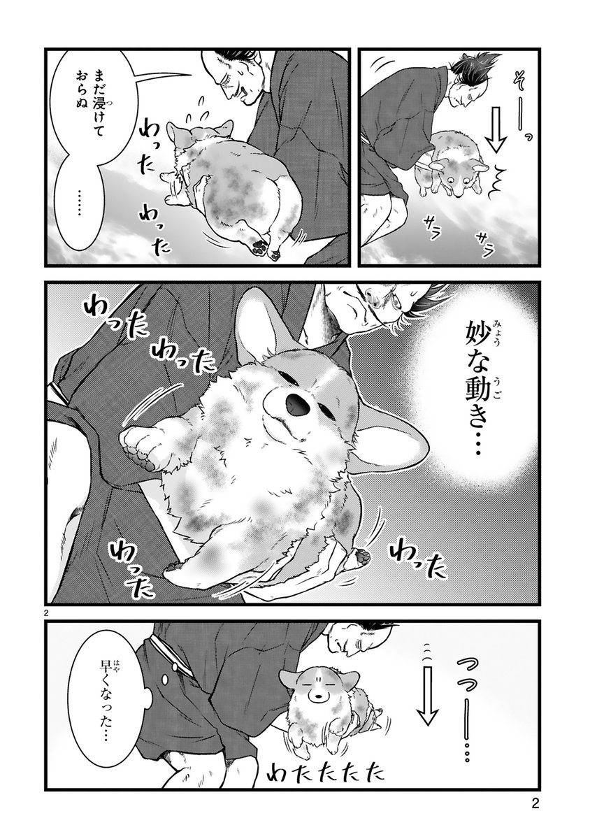 【8/29 更新】
✨アニメ化決定&コミックス第④巻 10/15発売!✨
『殿と犬』
特別再掲載★夏の陣
https://t.co/UOTdg6lvGW
殿は川へ犬をお洗濯に🎶🫧
でも水に入れようとすると犬がわたわた…
もしかして犬、水の中が苦手…❓🤔
#COMICポラリス