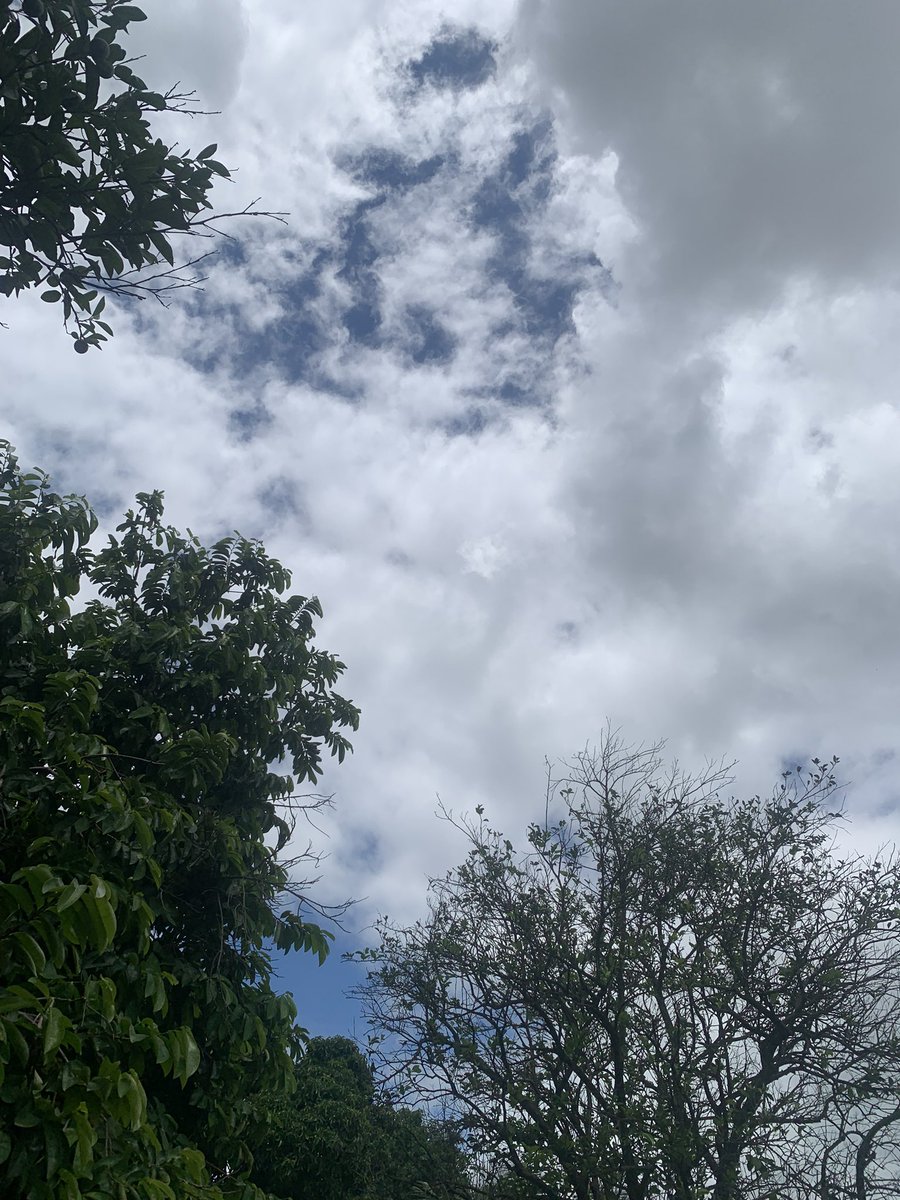 SIMON HOPE 🙏 (@mendy152804) on Twitter photo 