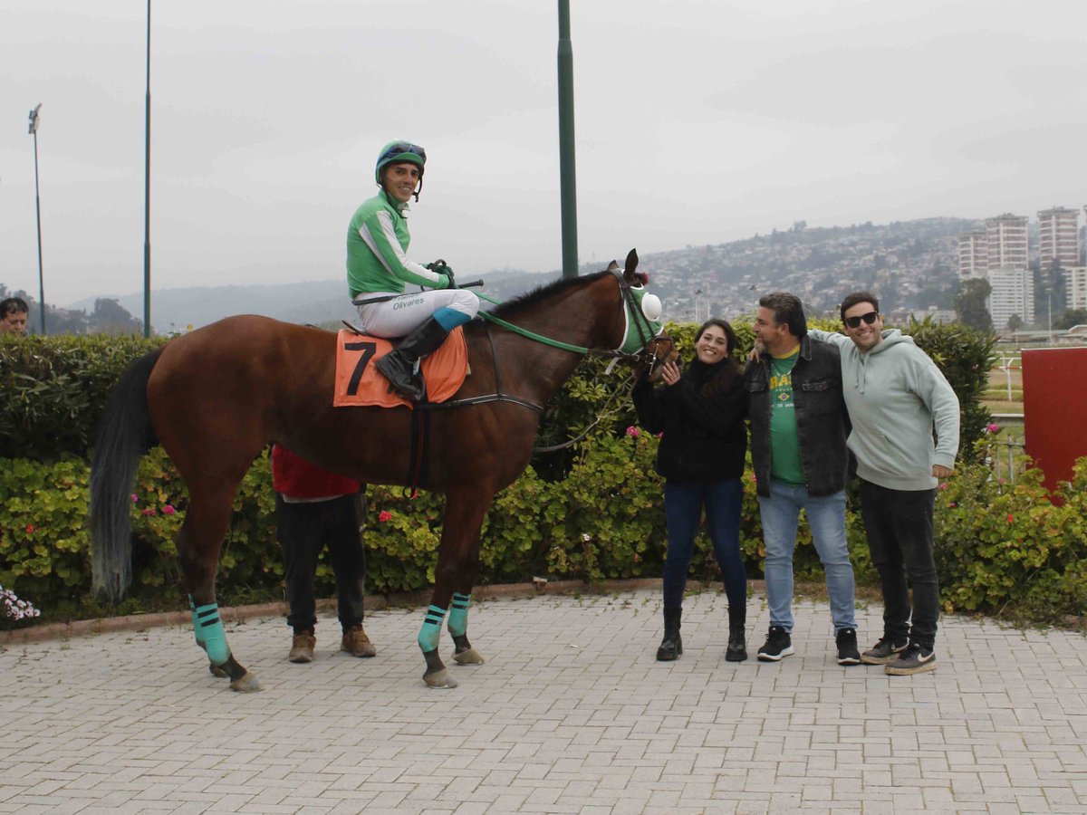 HarasCarioca's tweet photo. Criscat (#Boboman y Cristalina Cat por Easing Along), crianza de @HarasCarioca, logró el sexto triunfo de su campaña al imponerse por 4 cuerpos a Thunderman en un hándicap de 1.100 metros corrido hoy sobre la arena del @V_Sporting. ¡Felicitaciones a todo el equipo del ganador! 🎉 https://t.co/ImFSDKgvO3