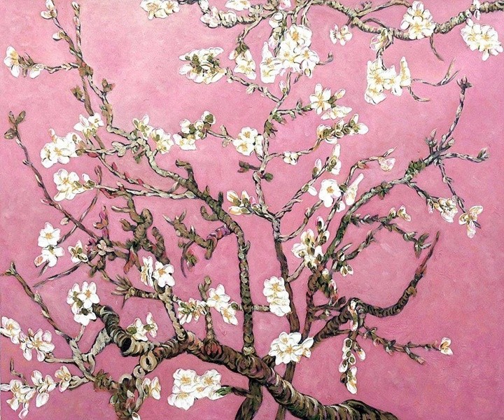solisolsoli's tweet photo. Vincent van Gogh. https://t.co/lbjgIVXZCi