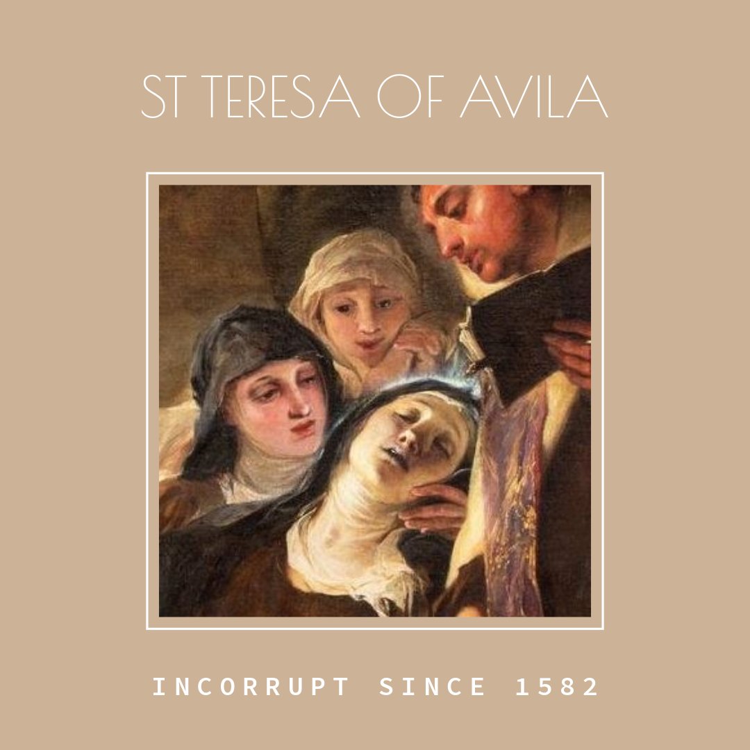 carmelitequotes's tweet photo. ✨ The tomb of St. Teresa of Avila was opened on August 28th, revealing her incorrupt body is still preserved. See images and discover more on our blog! #StTeresaOfAvila #CarmeliteStudies @NYCatholicRadio @RosaryMum @FrGoyo @gloria_purvis
https://t.co/th0cmSZmdn https://t.co/6eAEfbwsOb