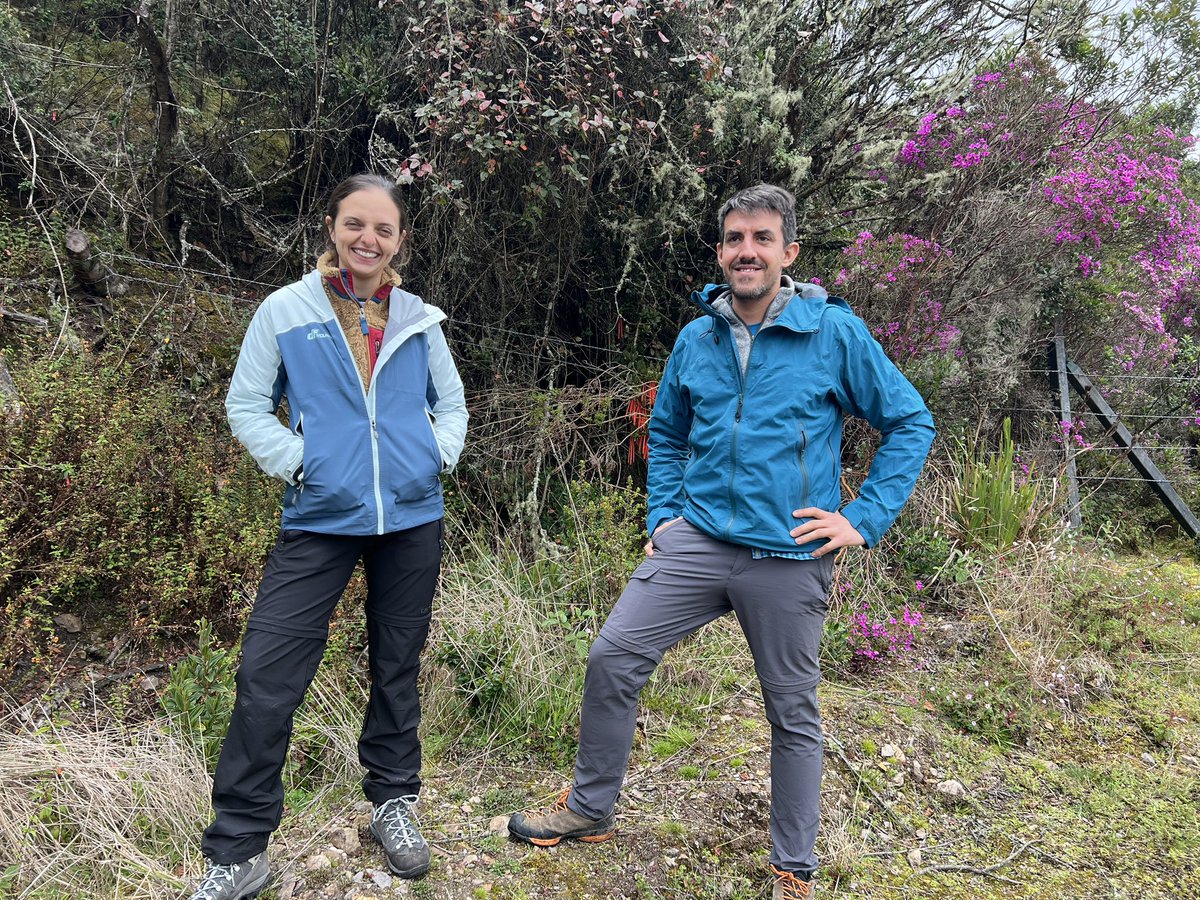 Plant development and biotic interaction Lab (@botanylabunipd) on Twitter photo First day of fieldwork for <a href="/Sebastiano_N/">bioseba 🌱</a> and @CeciZumajo of <a href="/DiBio_UniPD/">Department of Biology – University of Padova</a> and <a href="/ortobotanicopd/">Orto botanico di Padova</a> together with <a href="/NataliaPabonMo1/">Natalia Pabon Mora 🇨🇴🌿🌷</a> in a paramo in Cundinamarca, Colombia, in the context of <a href="/EVOfruland_RISE/">EVOfruland_MSCA_RISE 🇪🇺</a> project. This environment offers an amazing biodiversity of unique plants! First day of fieldwork for <a href="/Sebastiano_N/">bioseba 🌱</a> and @CeciZumajo of <a href="/DiBio_UniPD/">Department of Biology – University of Padova</a> and <a href="/ortobotanicopd/">Orto botanico di Padova</a> together with <a href="/NataliaPabonMo1/">Natalia Pabon Mora 🇨🇴🌿🌷</a> in a paramo in Cundinamarca, Colombia, in the context of <a href="/EVOfruland_RISE/">EVOfruland_MSCA_RISE 🇪🇺</a> project. This environment offers an amazing biodiversity of unique plants!