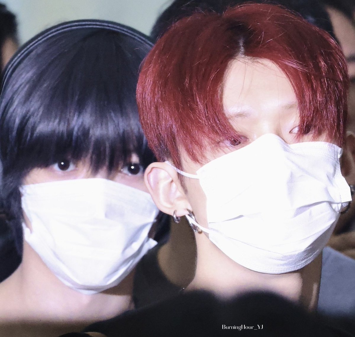 gyukkeo's tweet photo. Cranberry and blueberry jjukkyu https://t.co/GHWhNdTD95