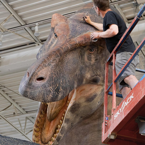 REX POG
REX POG
REX POG
REX POG
REX POG
REX POG
REX POG
REX POG
REX POG
REX POG
REX POG
REX POG
REX POG
REX POG
REX POG
REX POG
REX POG
REX POG
REX POG
REX POG
REX POG
REX POG
REX POG
REX POG
REX POG
REX POG
REX POG
REX POG
REX POG
REX POG
REX POG
REX POG
REX POG
REX POG
REX POG