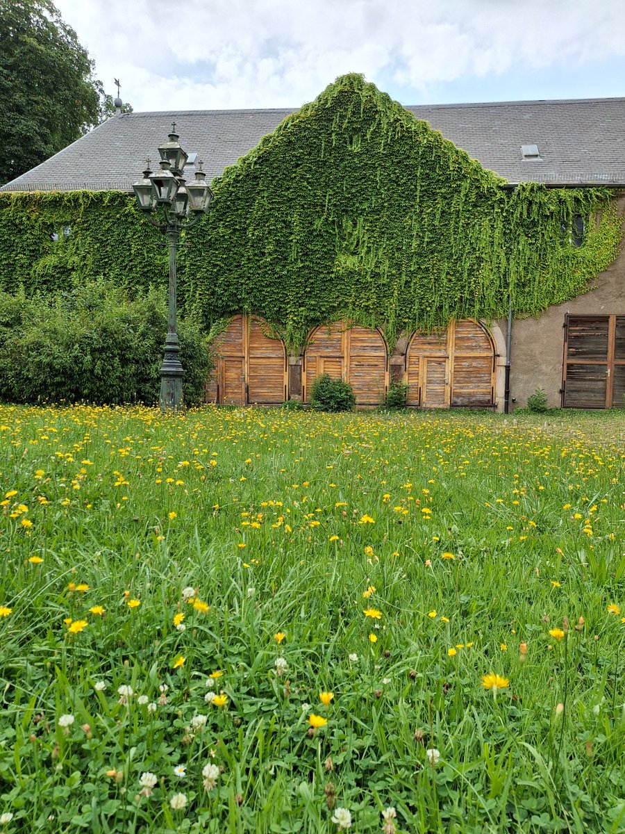 MonicaEPace's tweet photo. The green wall https://t.co/FTCYgkd8Zi