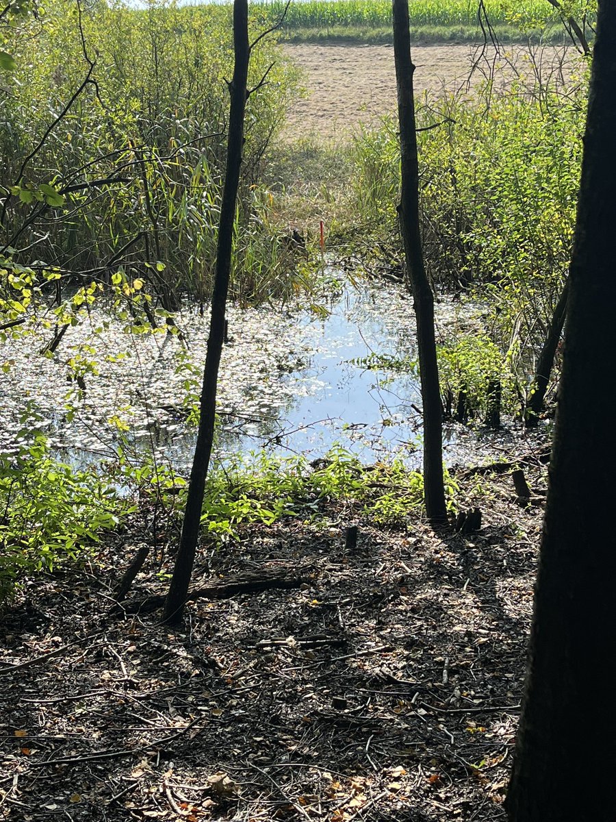 Et eksempel hvor klimaforandringerne har en indflydelse på grænsen mod Tyskland. I 1920 var der ikke en sø her. Nu skal vi finde ud af hvordan vi markerer den 😀