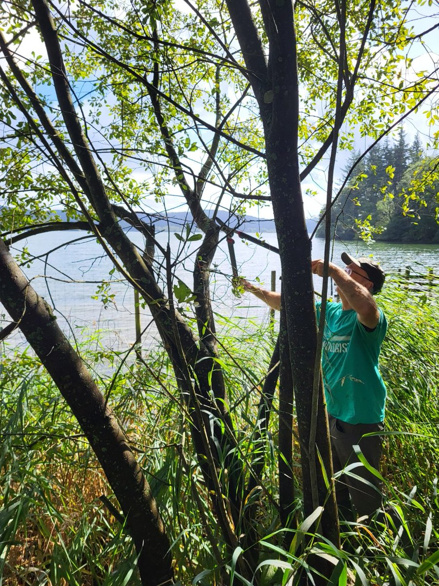 South Cumbria Rivers Trust tweet media