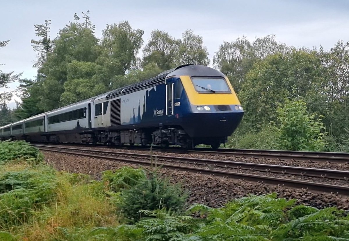 🚂📷#RailwayPhotography 
Good timing on a 5-mile walk before breakfast today, as an #Inter7City HST makes its way south through Culloden Woods with a service bound for Glasgow, 29/08/24.
<a href="/ScotRail/">ScotRail</a> <a href="/NetworkRailSCOT/">Network Rail Scotland</a>