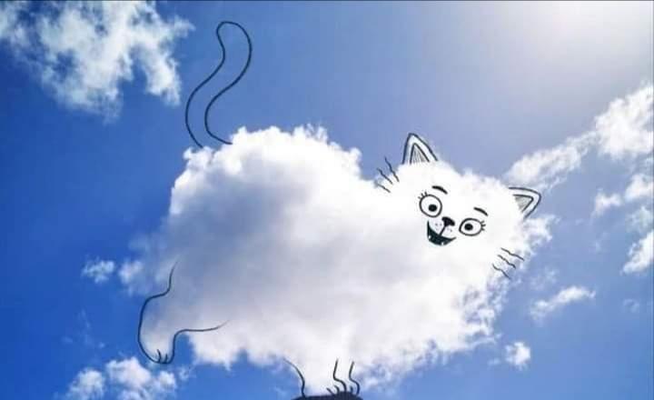 PubParlons's tweet photo. Les amoureux de nuages ceci vous plaira 😊

#créativité https://t.co/gCnFCSQrKp