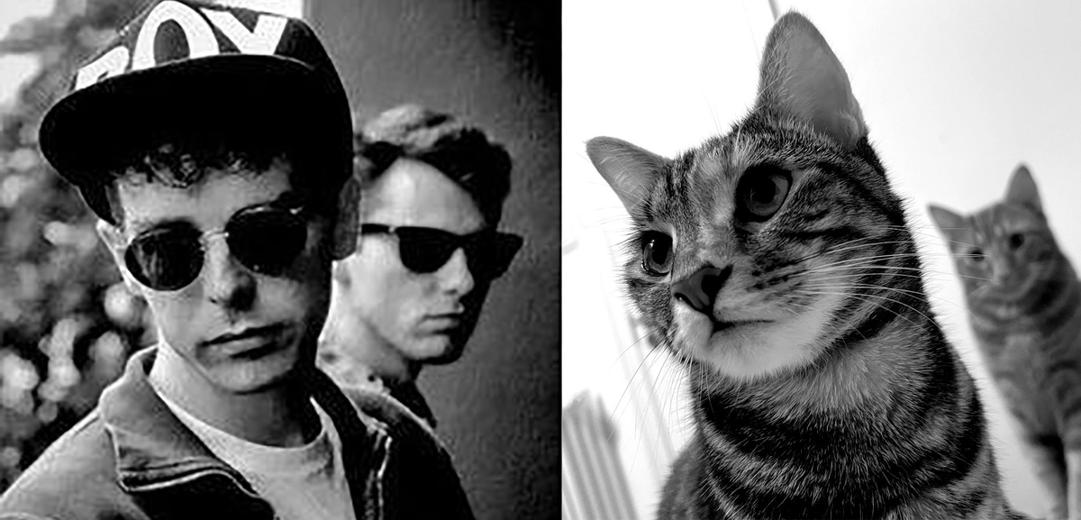 Jeff Automatic tweet media