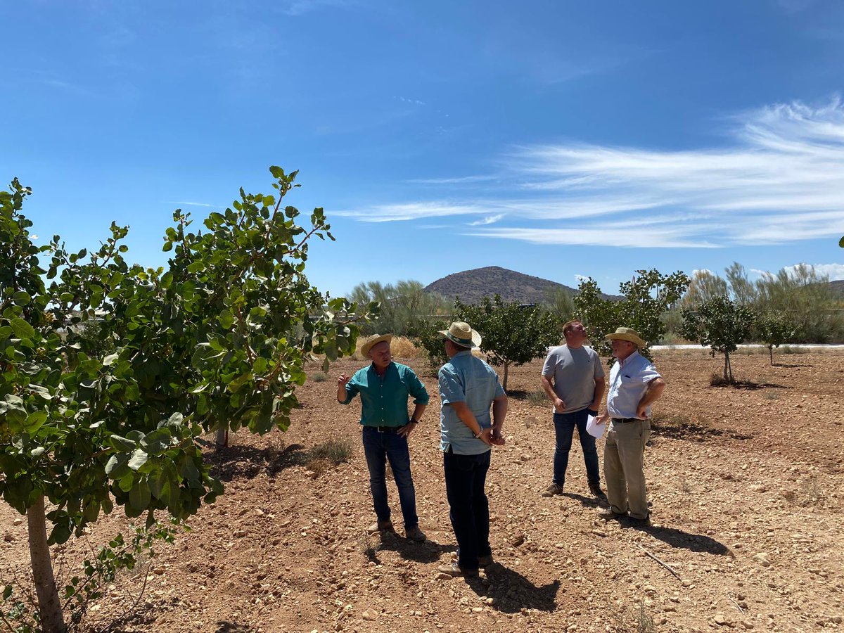 <a href="/BioCrisara/">Crisara</a> implanta su modelo de producción, asesoramiento y gestión del cultivo de almendro y pistacho dentro y fuera de España siendo ya un referente en proyectos que se están llevando a cabo en Portugal, Francia, Italia o Azerbaiyán.